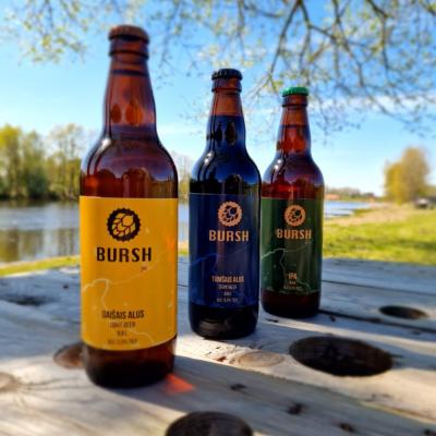 Alus Aiviekste Scaled